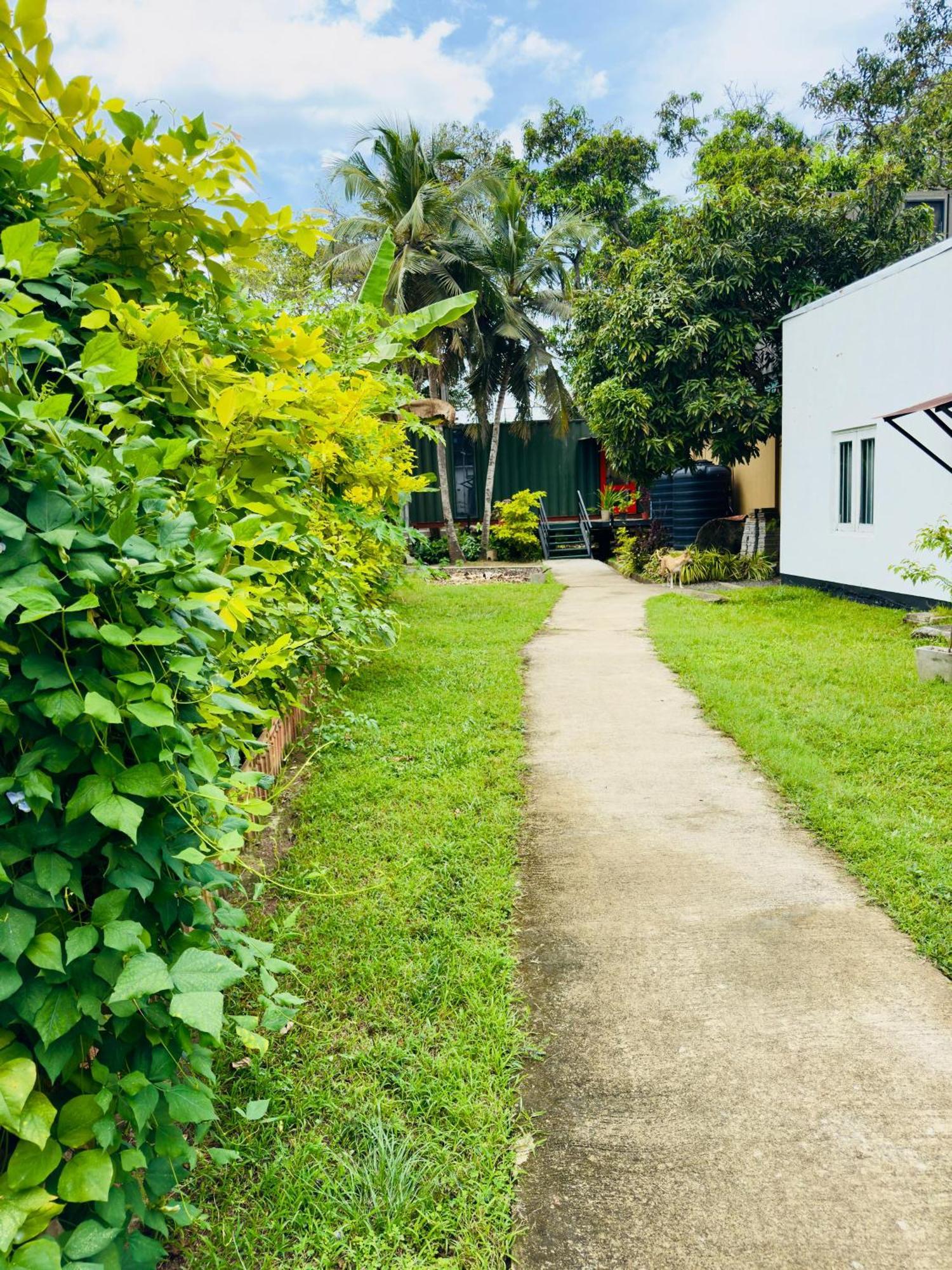Traveler'S Haven Hostel At Colombo Intl Airport คาตุนายากา ภายนอก รูปภาพ